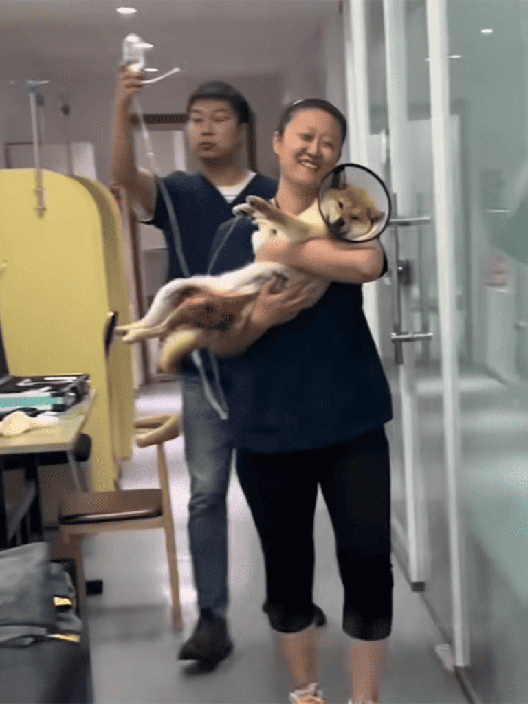 Dog rescue celebration at vet hospital with happy staff and patient puppy.