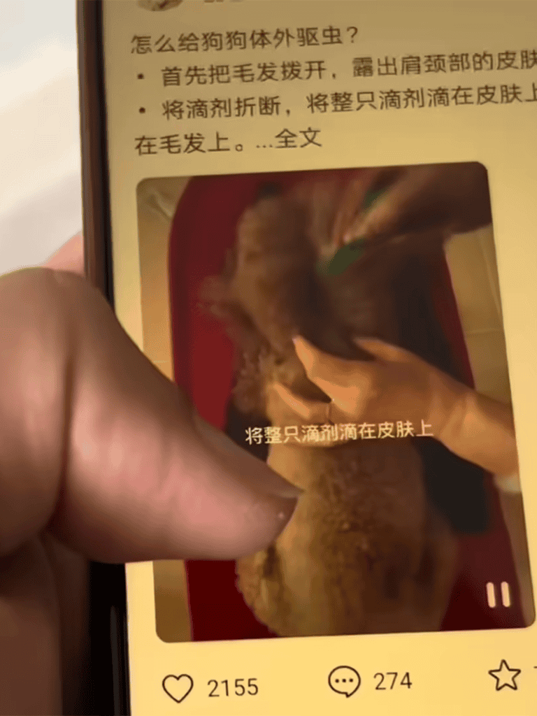 Step-by-step guide to remove external parasites from dogs effectively.