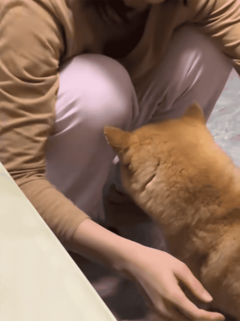 Dog cuddling with owner in cozy indoor setting.