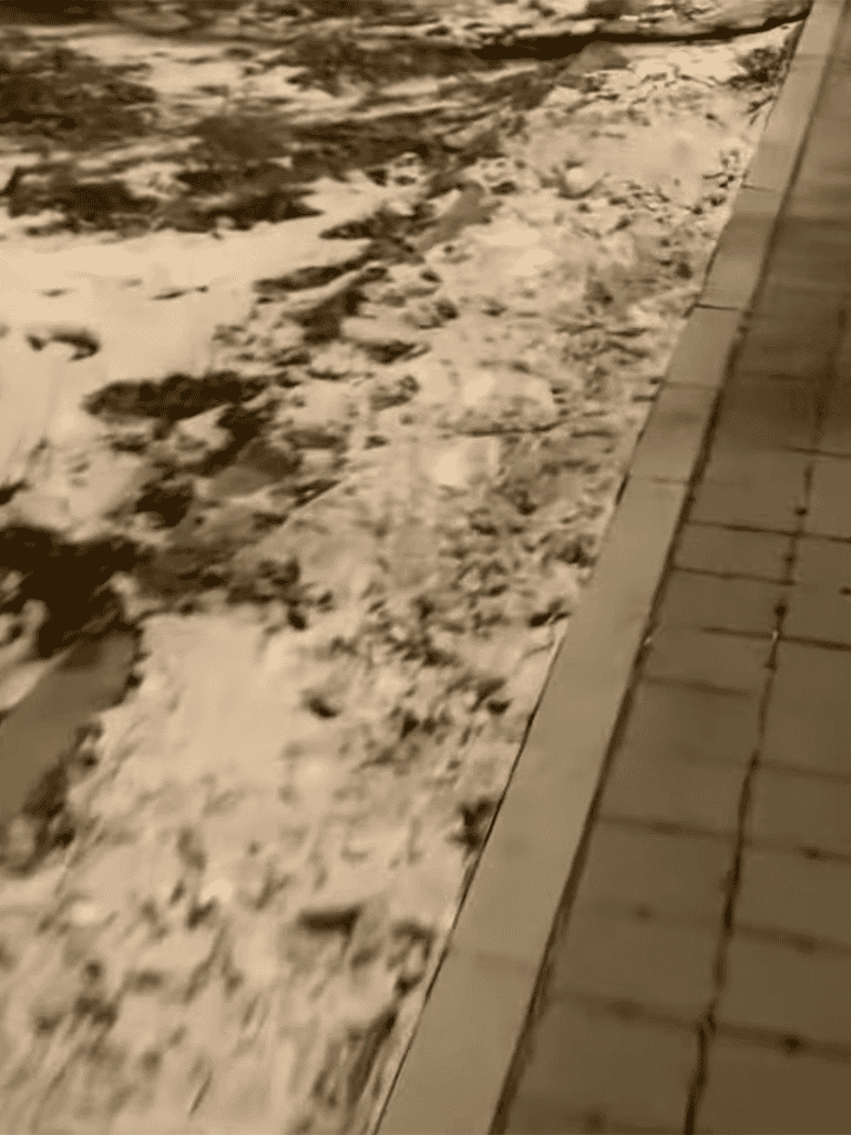 Dogfix pet care, dog walking, and outdoor pet services.