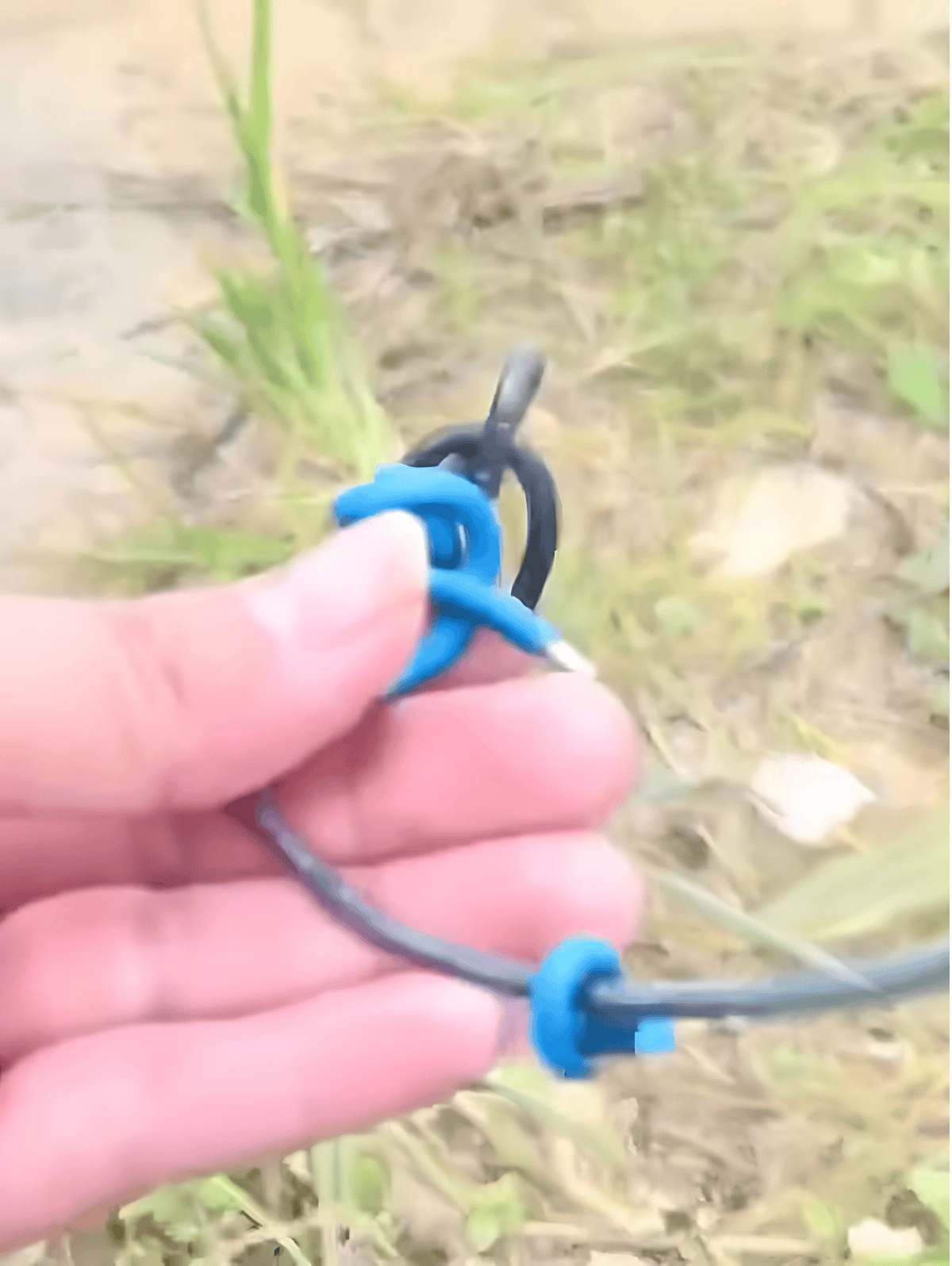 Close-up of a blue pet leash held in hand outdoors, ideal for dog walking.